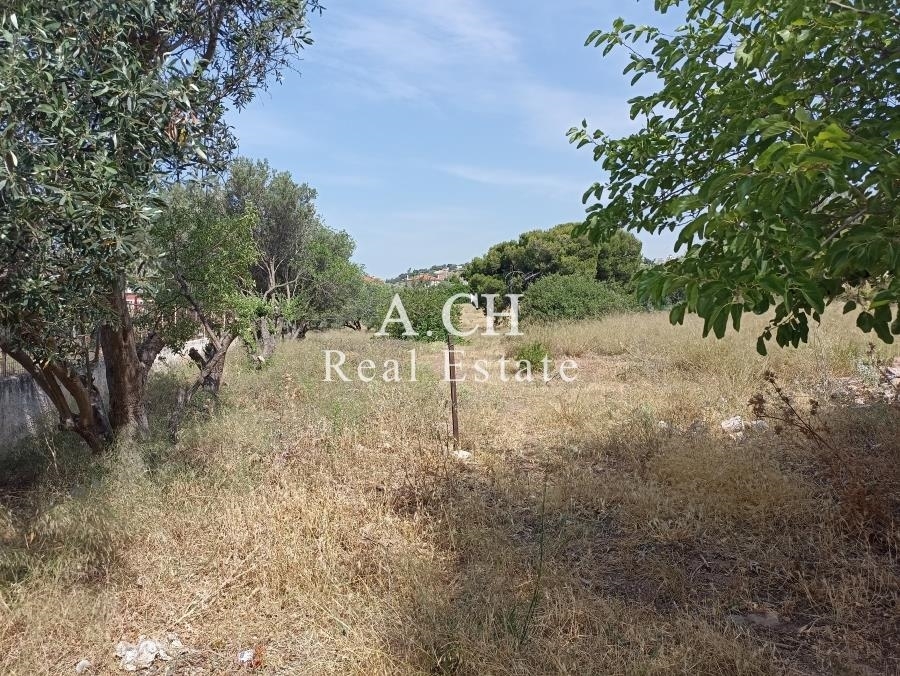 (For Sale) Land Plot || East Attica/Kalyvia-Lagonisi - 3.278 Sq.m, 650.000€ 