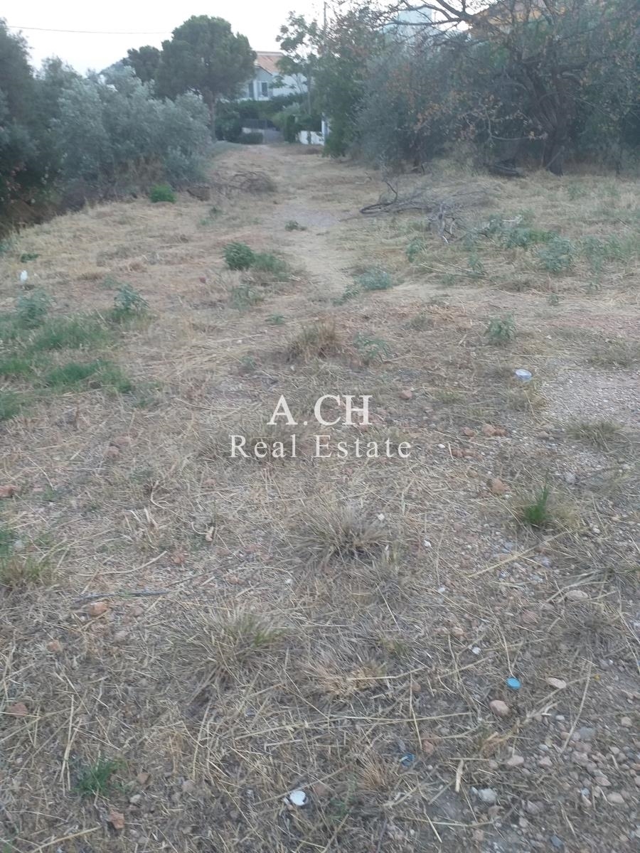 (For Sale) Land Plot || East Attica/Vari-Varkiza - 985 Sq.m, 1.000.000€ 