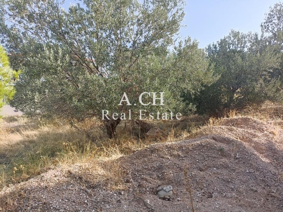 (For Sale) Land Plot || East Attica/Kalyvia-Lagonisi - 412 Sq.m, 120.000€ 