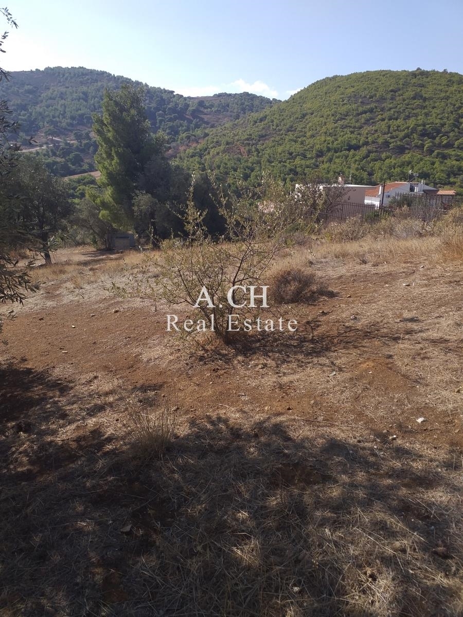(For Sale) Land Plot || East Attica/Keratea - 680 Sq.m, 80.000€ 