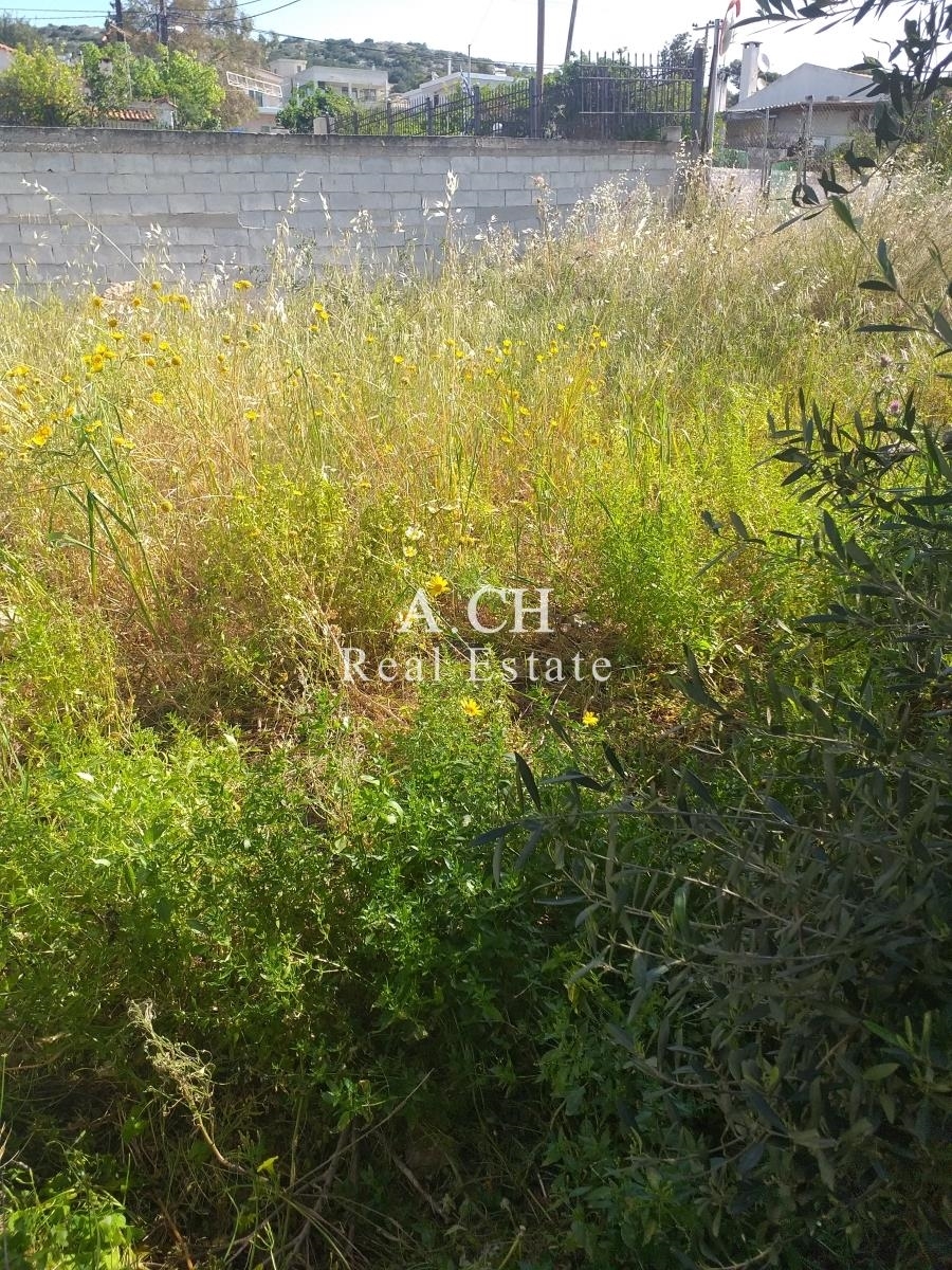 (For Sale) Land Plot || East Attica/Koropi - 231 Sq.m, 50.000€ 