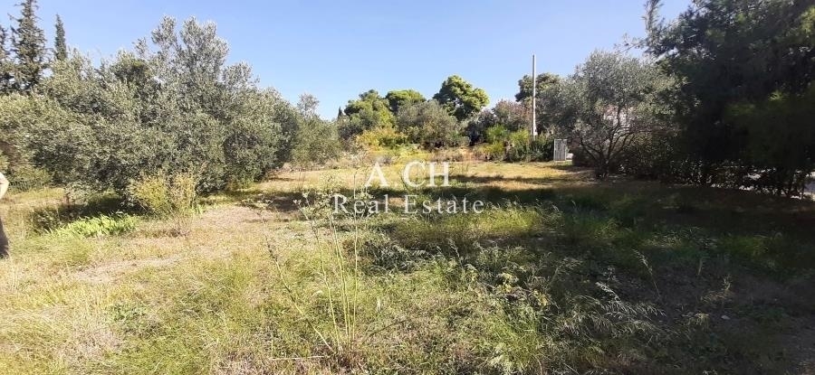 (For Allowance) Land Plot || East Attica/Koropi - 735 Sq.m, 1.000€ 