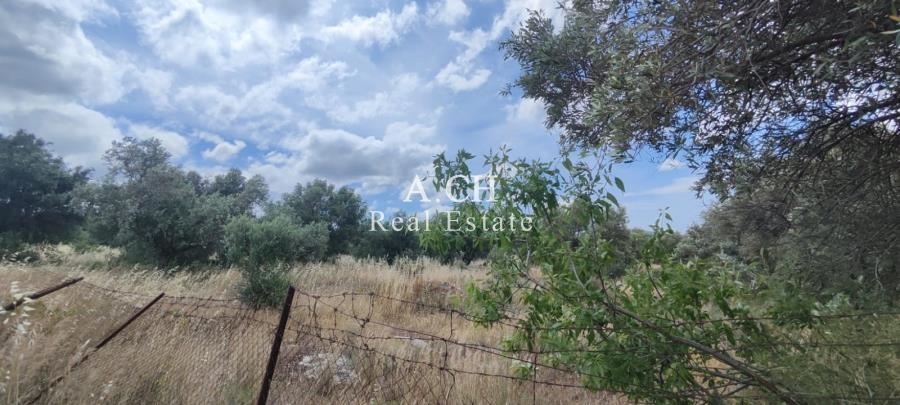(Προς Πώληση) Αξιοποιήσιμη Γη Αγροτεμάχιο || Ανατολική Αττική/Κορωπί  - 2.100 τ.μ, 200.000€ 