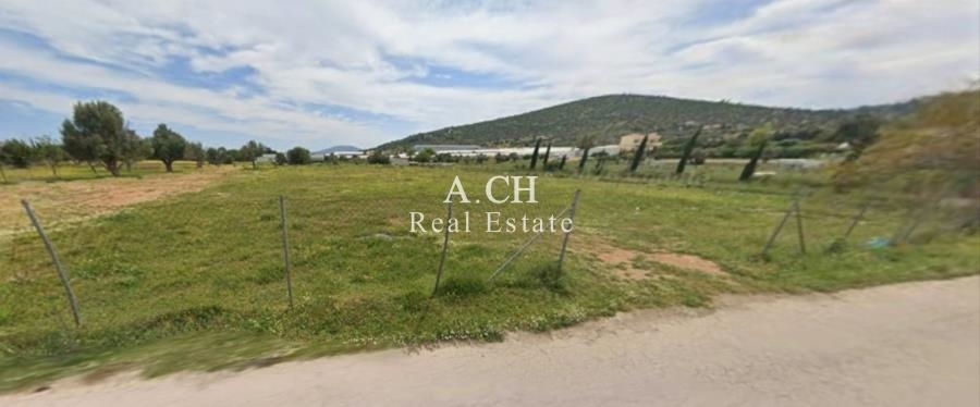 (For Sale) Land Agricultural Land  || East Attica/Koropi - 1.105 Sq.m, 65.000€ 
