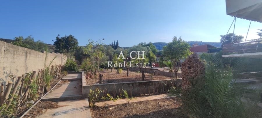 (For Sale) Land Plot || East Attica/Koropi - 2.293 Sq.m, 440.000€ 