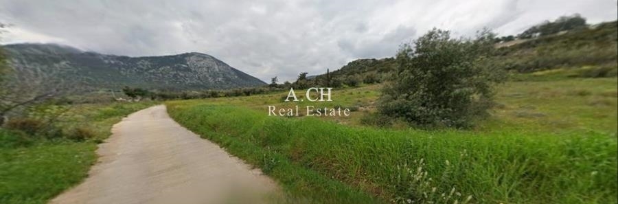 (For Sale) Land Agricultural Land  || East Attica/Koropi - 5.568 Sq.m, 85.000€ 