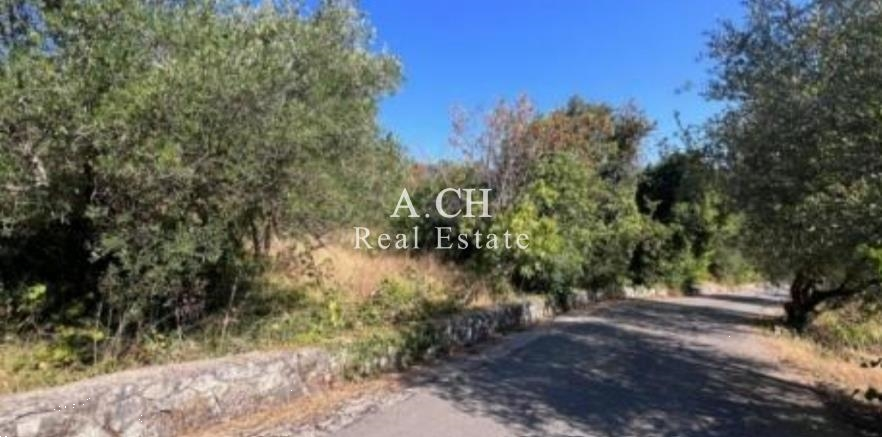 (Προς Πώληση) Αξιοποιήσιμη Γη Οικόπεδο || Ν. Λευκάδας/Καρυά - 623 τ.μ, 70.000€ 