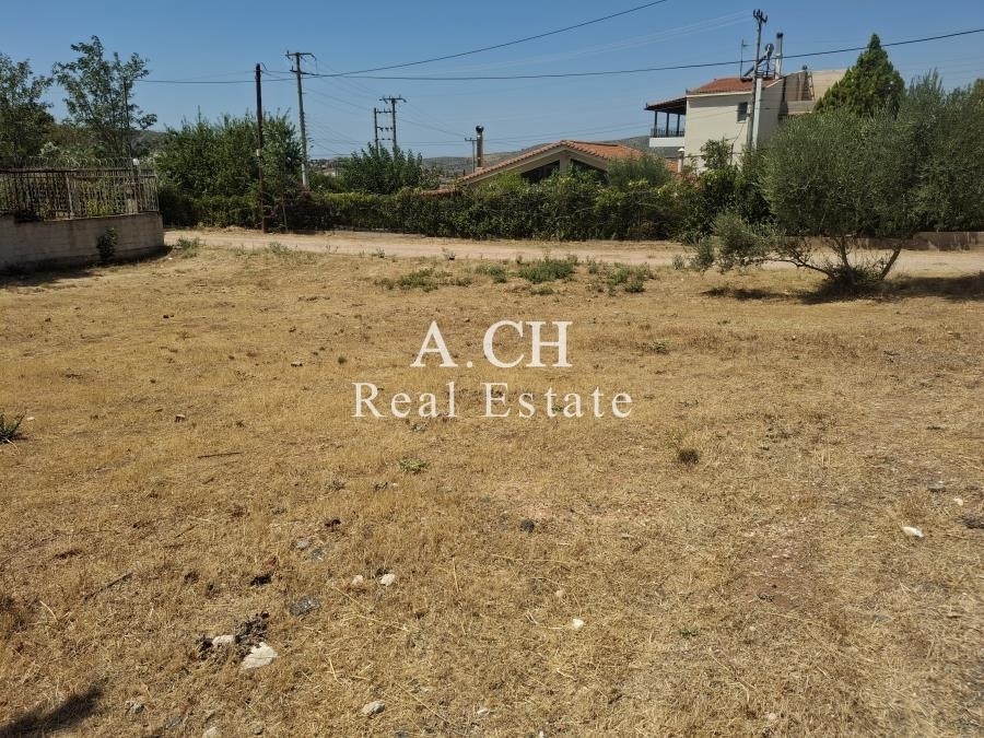 (For Sale) Land Plot || East Attica/Koropi - 450 Sq.m, 42.000€ 