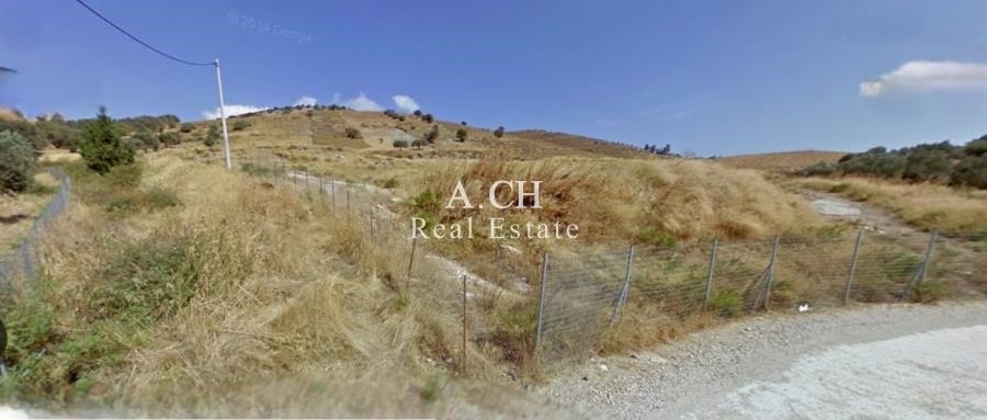 (Προς Πώληση) Αξιοποιήσιμη Γη Αγροτεμάχιο || Ανατολική Αττική/Κουβαράς - 8.524 τ.μ, 250.000€ 
