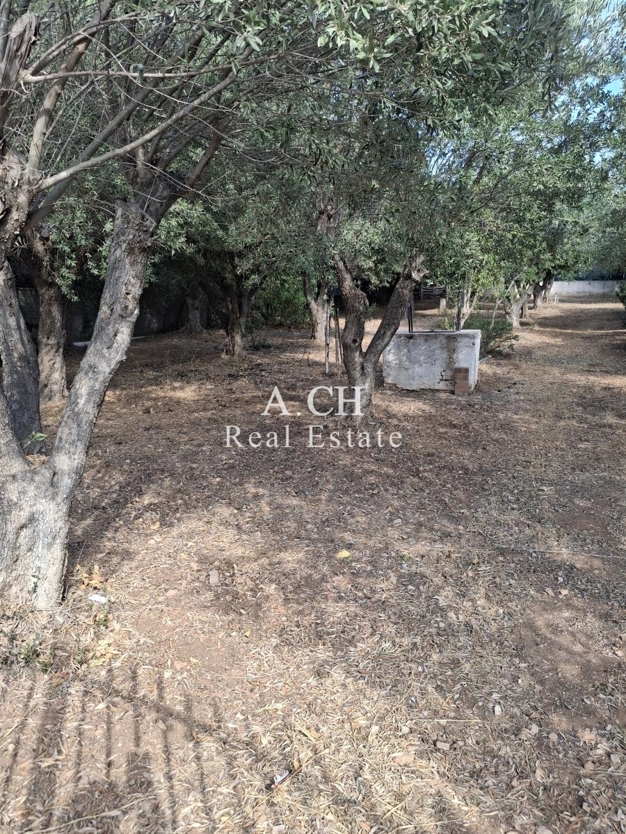 (For Sale) Land Plot || East Attica/Vari-Varkiza - 547 Sq.m, 350.000€ 