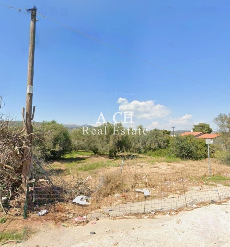 (For Sale) Land Plot || East Attica/Koropi - 1.643 Sq.m, 350.000€ 