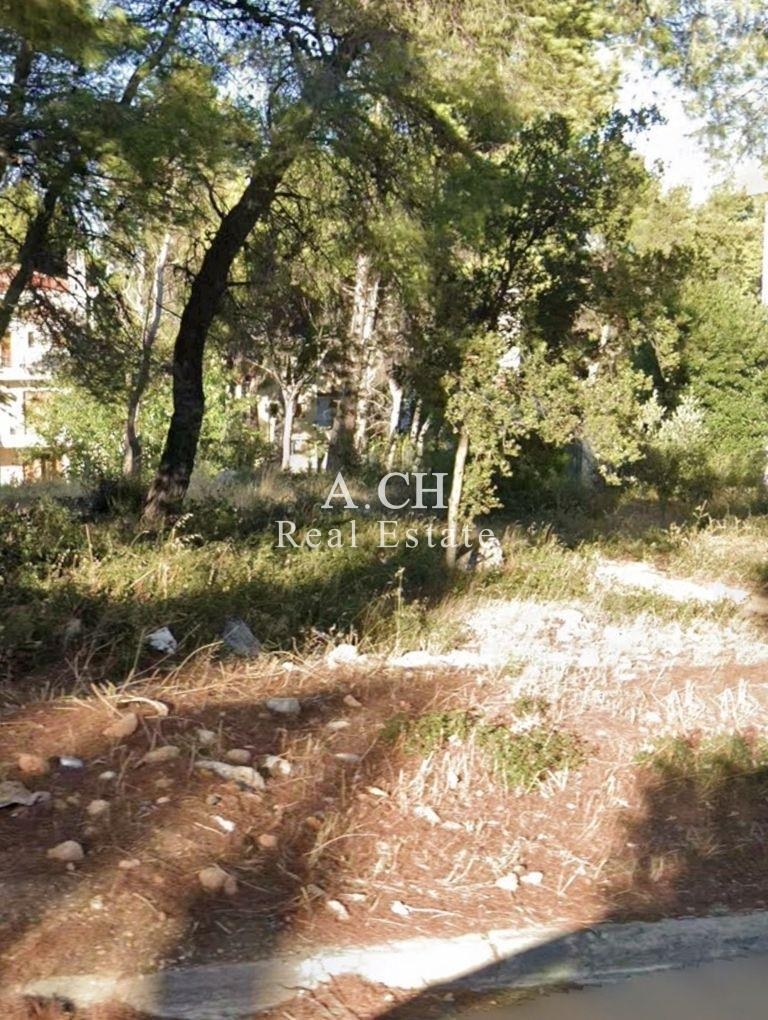 (For Sale) Land Plot || East Attica/Thrakomakedones - 1.010 Sq.m, 300.000€ 