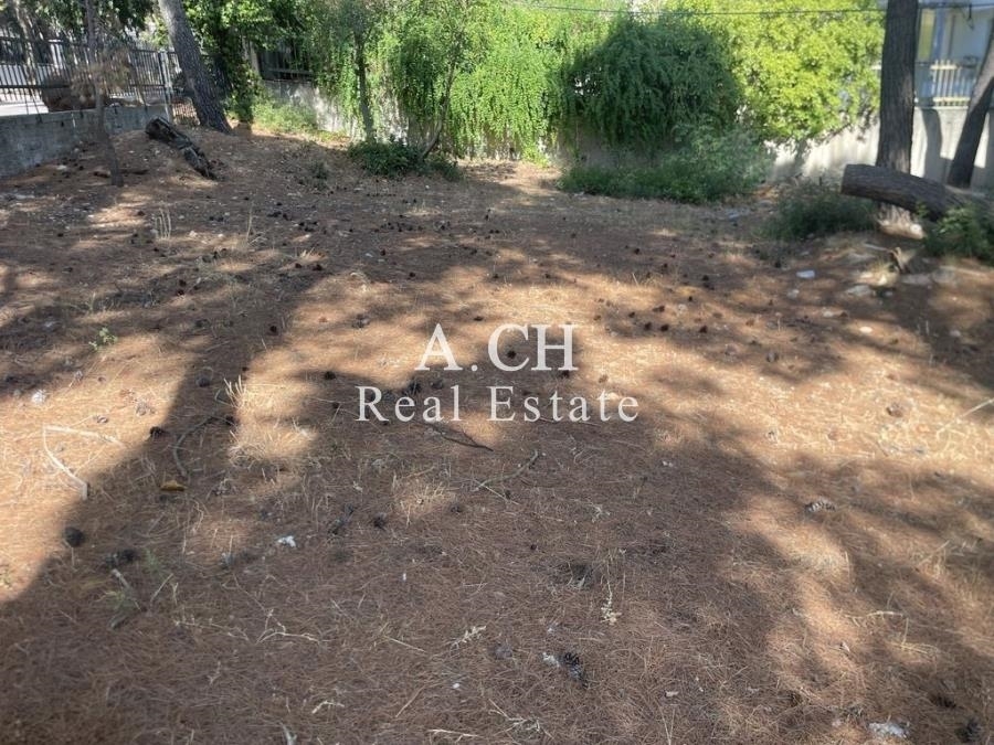 (For Sale) Land Plot || East Attica/Thrakomakedones - 1.020 Sq.m, 340.000€ 