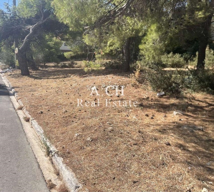 (For Sale) Land Plot || East Attica/Thrakomakedones - 500 Sq.m, 230.000€ 