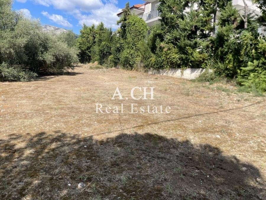 (For Sale) Land Plot || East Attica/Thrakomakedones - 1.003 Sq.m, 300.000€ 