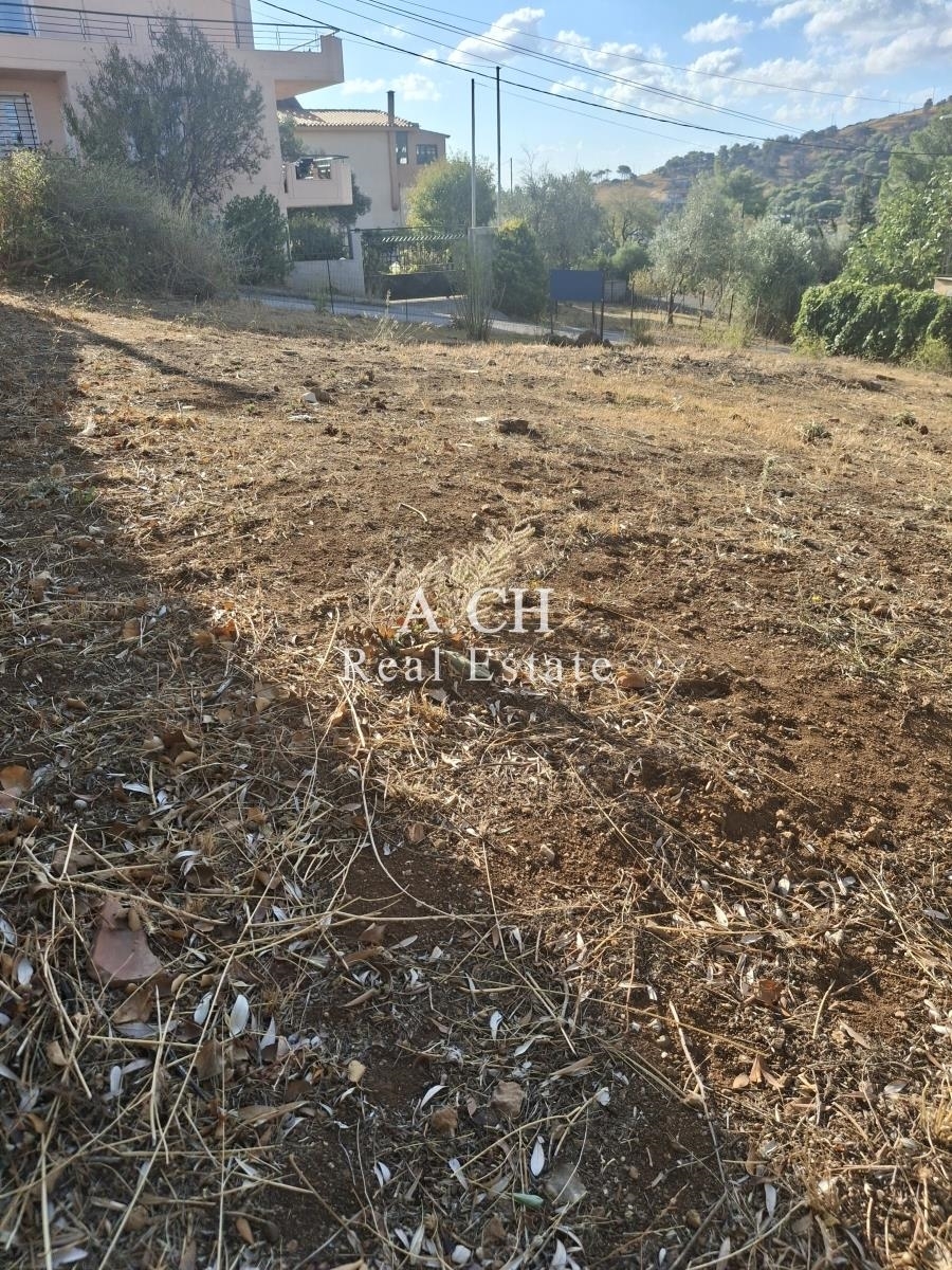 (For Sale) Land Plot || East Attica/Keratea - 380 Sq.m, 160.000€ 