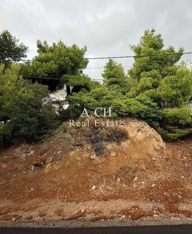 (For Sale) Land Plot || East Attica/Thrakomakedones - 1.038 Sq.m, 280.000€ 