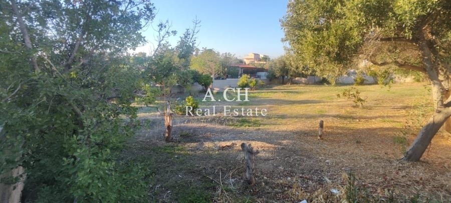 (For Sale) Land Plot || East Attica/Anavyssos - 844 Sq.m, 360.000€ 