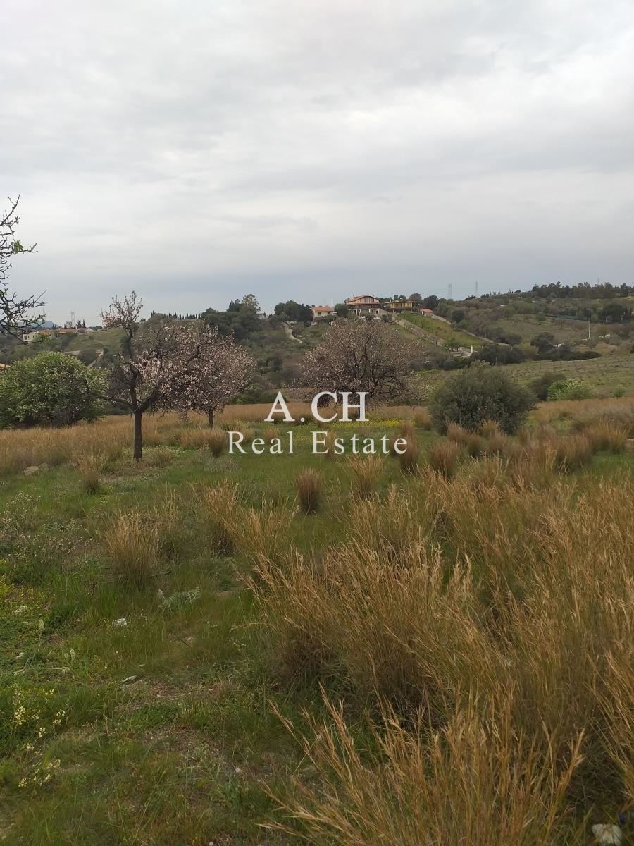 (For Sale) Land Plot || East Attica/Koropi - 4.150 Sq.m, 70.000€ 